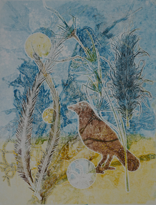 Print by Kirsty Campbell